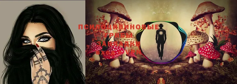 Галлюциногенные грибы MAGIC MUSHROOMS  наркошоп  Красновишерск 